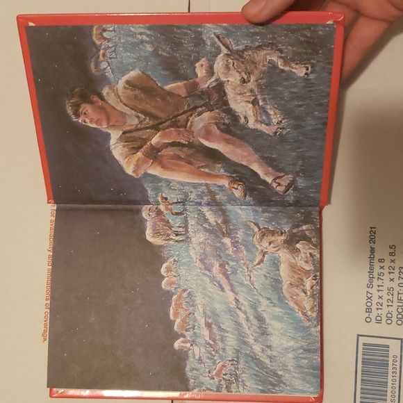 My First Bible In Pictures By Kenneth N. Taylor Hardcover Book - Picture 10 of 10